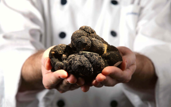 menu tartufo nero